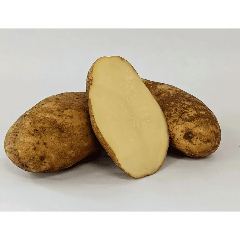 2 Lbs Russet Potato Seeds - Whole Tubers for Planting - Brown Potato Seeds 2 Lbs Russet Potato Seeds - Whole Tubers for Planting - Brown Potato Seeds - Image 5