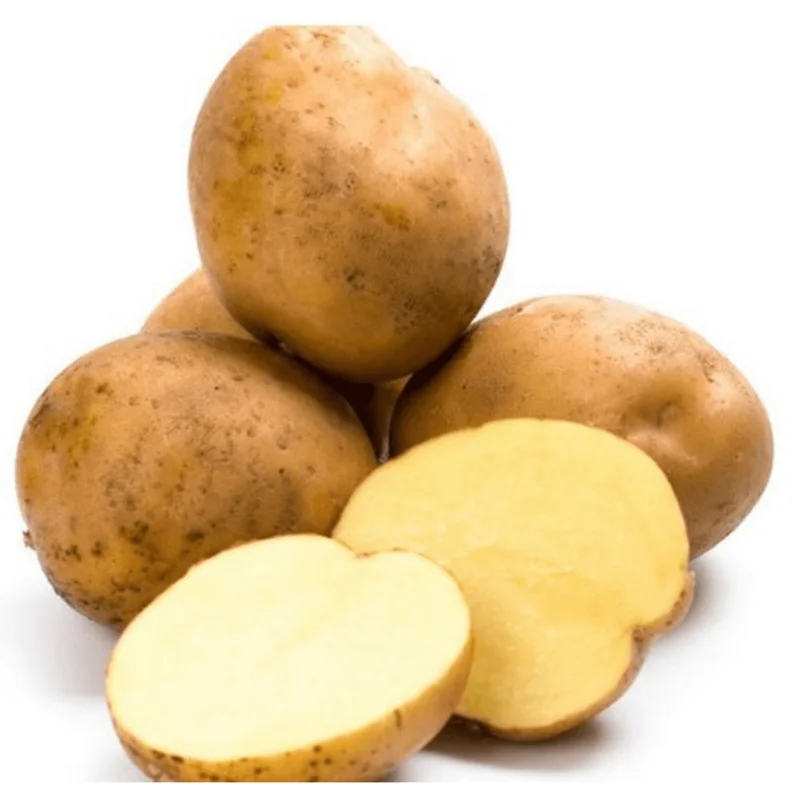 2 Lbs Yellow Potato Seed Tubers for Planting - Whole Potato Seeds 2 Lbs Yellow Potato Seed Tubers for Planting - Whole Potato Seeds - Image 3