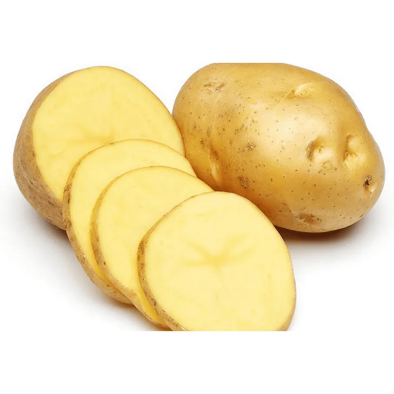 2 Lbs Yellow Potato Seed Tubers for Planting - Whole Potato Seeds 2 Lbs Yellow Potato Seed Tubers for Planting - Whole Potato Seeds - Image 5