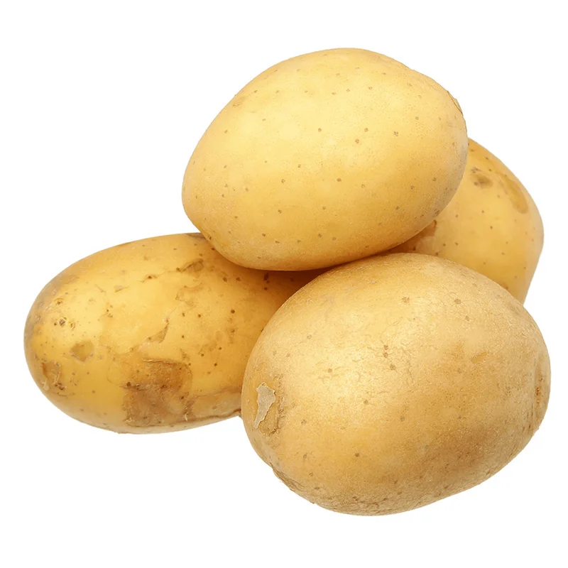 2 Lbs Yellow Potato Seed Tubers for Planting - Whole Potato Seeds 2 Lbs Yellow Potato Seed Tubers for Planting - Whole Potato Seeds - Image 1