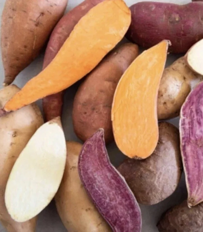 20 Sweet Potato Slips Live Plant Variety Pack - Purple, Okinawa, White, Orange - Outdoor Vegetable Garden 20 Sweet Potato Slips Live Plant Variety Pack - Purple, Okinawa, White, Orange - Outdoor Vegetable Garden - Image 1