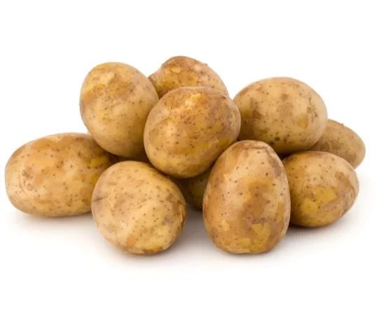 210 Russet Potato Seeds for Planting - Heirloom Vegetable Seeds 210 Russet Potato Seeds for Planting - Heirloom Vegetable Seeds - Image 3