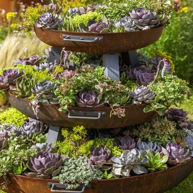 25+ Mixed Cactus & Succulent Seeds - Easy Grow Desert Plants for Indoor & Outdoor 25+ Mixed Cactus & Succulent Seeds - Easy Grow Desert Plants for Indoor & Outdoor - Image 1