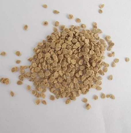 25 Orange Accordion Tomato Seeds - Heirloom Garden Tomato Seeds 25 Orange Accordion Tomato Seeds - Heirloom Garden Tomato Seeds - Image 6