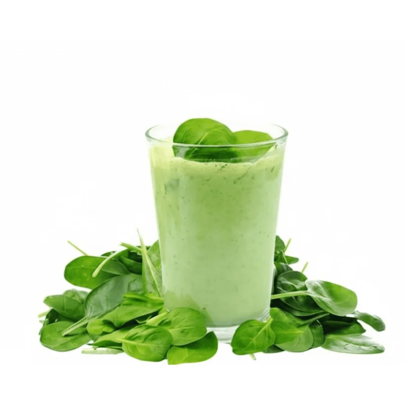 3 Longevity Spinach Live Plants, Gynura Procumbens Edible Herb, 4-8 Inch Tall 3 Longevity Spinach Live Plants, Gynura Procumbens Edible Herb, 4-8 Inch Tall - Image 3