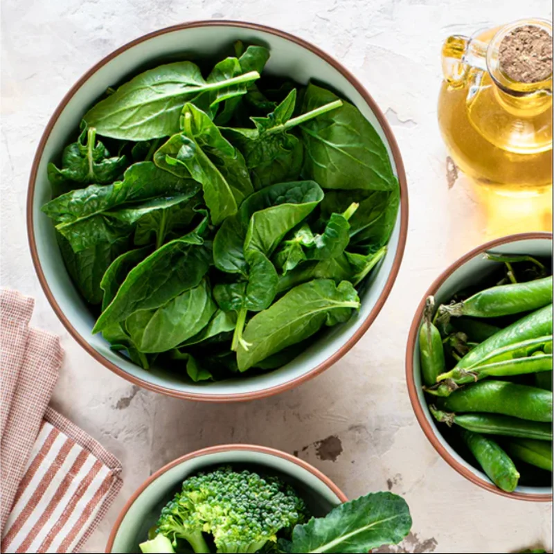 3 Longevity Spinach Live Plants, Gynura Procumbens Edible Herb, 4-8 Inch Tall 3 Longevity Spinach Live Plants, Gynura Procumbens Edible Herb, 4-8 Inch Tall - Image 5