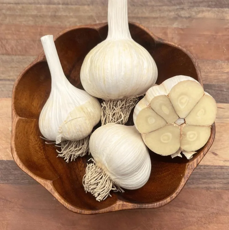 4 German Hardneck Garlic Bulbs for Planting - Heirloom White Garlic Tubers 4 German Hardneck Garlic Bulbs for Planting - Heirloom White Garlic Tubers - Image 3
