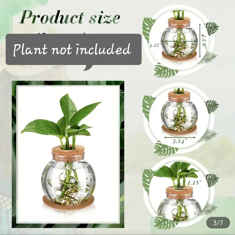 4 inch Clear Round Plastic Hydroponic Propagation Vase with Cork Lid & Coaster - Desktop Plant Terrarium - Image 2