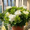 50 Gardenia Seeds - Fragrant Flowering Plant for Home & Balcony Decor - Image 1