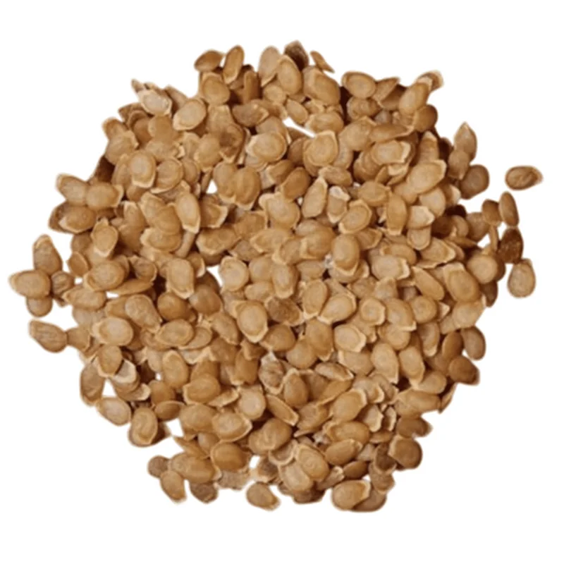 60 True Potato Seeds – Mixed Heirloom Colors for Growing Vegetables - Image 2