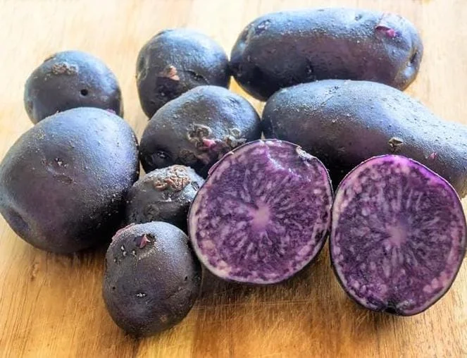 70 Mix Potato Seeds for Planting - Heirloom Vegetable Seeds, Growing 70 Mix Potato Seeds for Planting - Heirloom Vegetable Seeds, Growing - Image 2