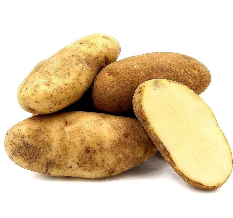 70 Mix Potato Seeds for Planting - Heirloom Vegetable Seeds, Growing 70 Mix Potato Seeds for Planting - Heirloom Vegetable Seeds, Growing - Image 5