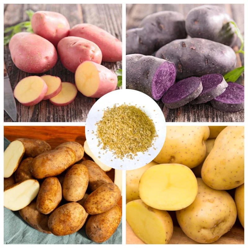 70 Mix Potato Seeds for Planting - Heirloom Vegetable Seeds, Growing 70 Mix Potato Seeds for Planting - Heirloom Vegetable Seeds, Growing - Image 1