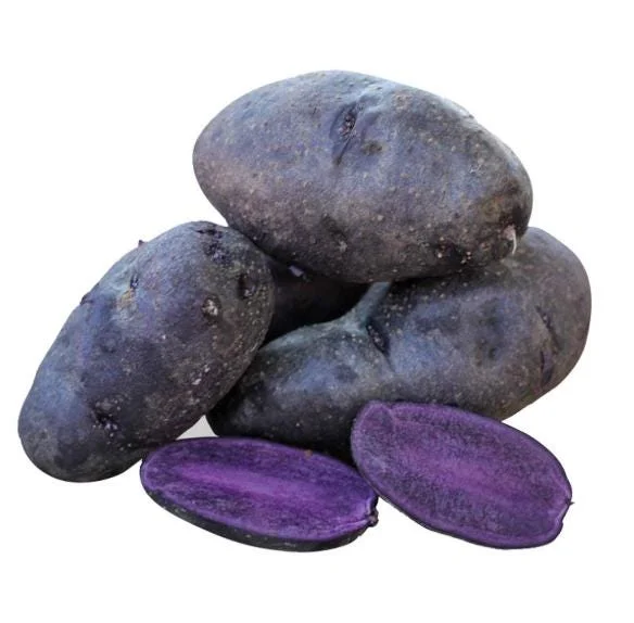70 Purple Potato Seeds for Planting - Easy Growing, Vibrant Color 70 Purple Potato Seeds for Planting - Easy Growing, Vibrant Color - Image 2