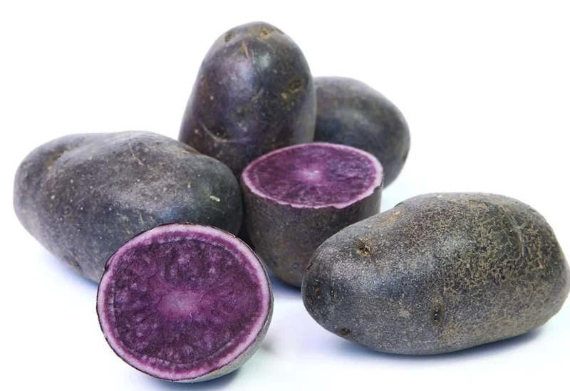 70 Purple Potato Seeds for Planting - Easy Growing, Vibrant Color 70 Purple Potato Seeds for Planting - Easy Growing, Vibrant Color - Image 6