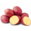 70 Red Potato Seeds – Easy Planting for Growing Red-Skinned Potatoes - Image 1