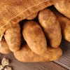70 Russet Potato Seeds for Planting - Heirloom Vegetable Seeds, USDA 3-10 70 Russet Potato Seeds for Planting - Heirloom Vegetable Seeds, USDA 3-10 - Image 1