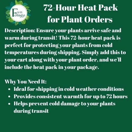 72 Hour Heat Pack for Plants – Premium Aluminum Foil Insulation – Winter Shipping Protection - Image 2