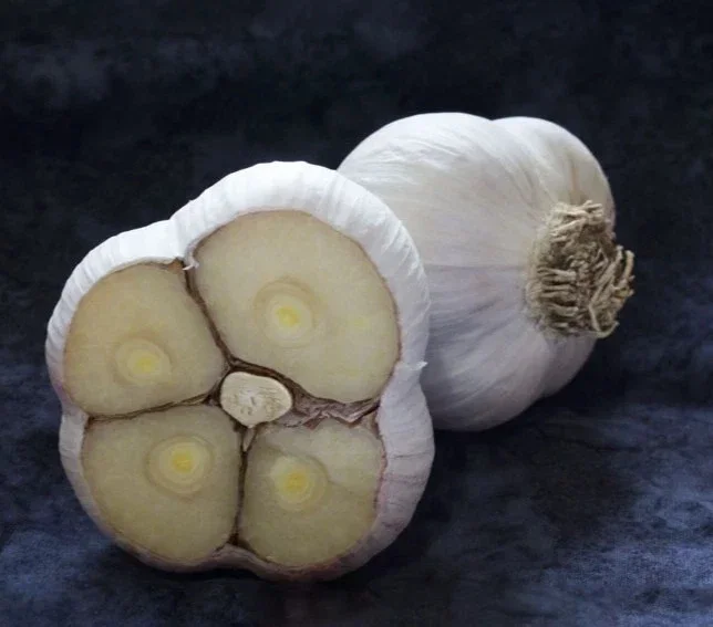 8 Organic Garlic Bulbs Multi-Size Mixed Varieties Chesnok Red, Music, Italian for Planting & Eating 8 Organic Garlic Bulbs Multi-Size Mixed Varieties Chesnok Red, Music, Italian for Planting & Eating - Image 3