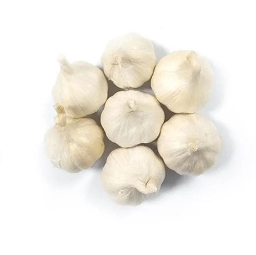 8 Polish Hardneck Garlic Bulbs for Planting & Gardening – White Garlic Tubers 8 Polish Hardneck Garlic Bulbs for Planting & Gardening – White Garlic Tubers - Image 6
