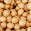 8 Small Yellow Potato Seeds - Whole Tubers for Planting - Image 1