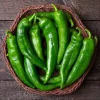 Anaheim Pepper Live Plant - Hot Pepper Plants, 3-5 Inch Tall, 2 Plants - Image 1