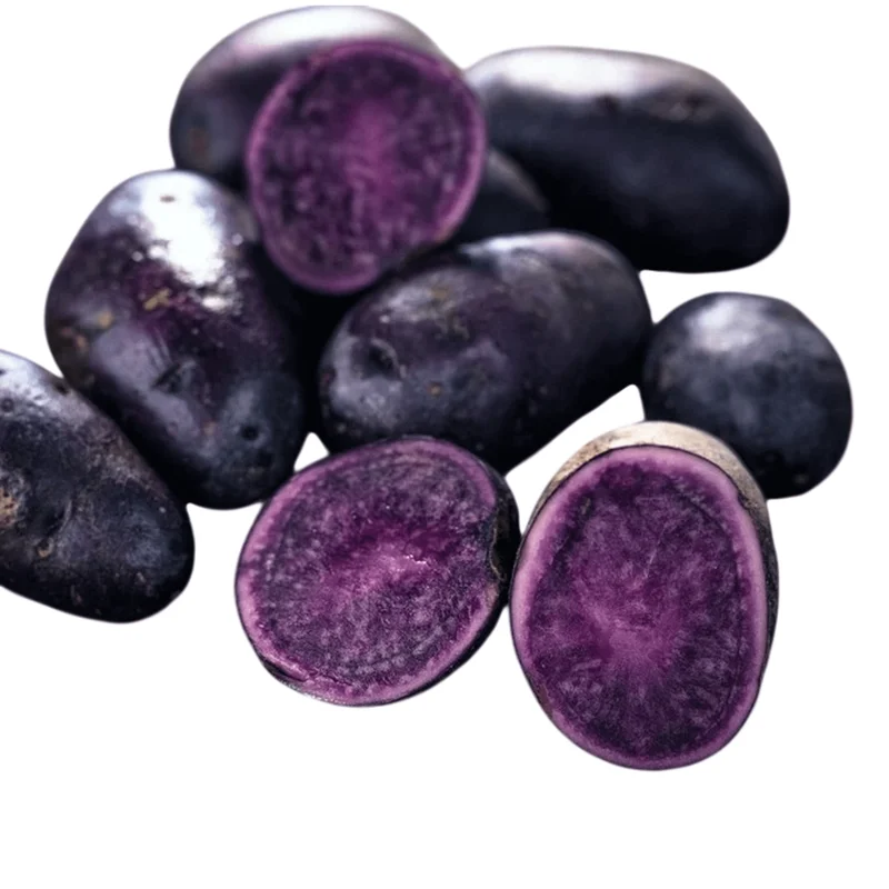 Blue Adirondack Seed Potatoes - 2 Lbs Purple Potato Tubers for Planting Blue Adirondack Seed Potatoes - 2 Lbs Purple Potato Tubers for Planting - Image 5