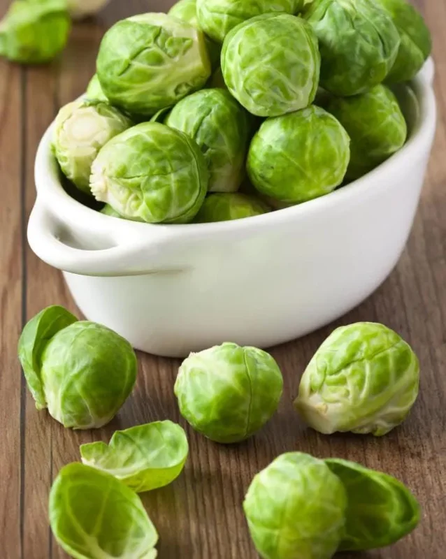 Brussels Sprouts Live Plants – 2 Plants in 4-Inch Pot – Home Grown Vegetables Brussels Sprouts Live Plants – 2 Plants in 4-Inch Pot – Home Grown Vegetables - Image 7