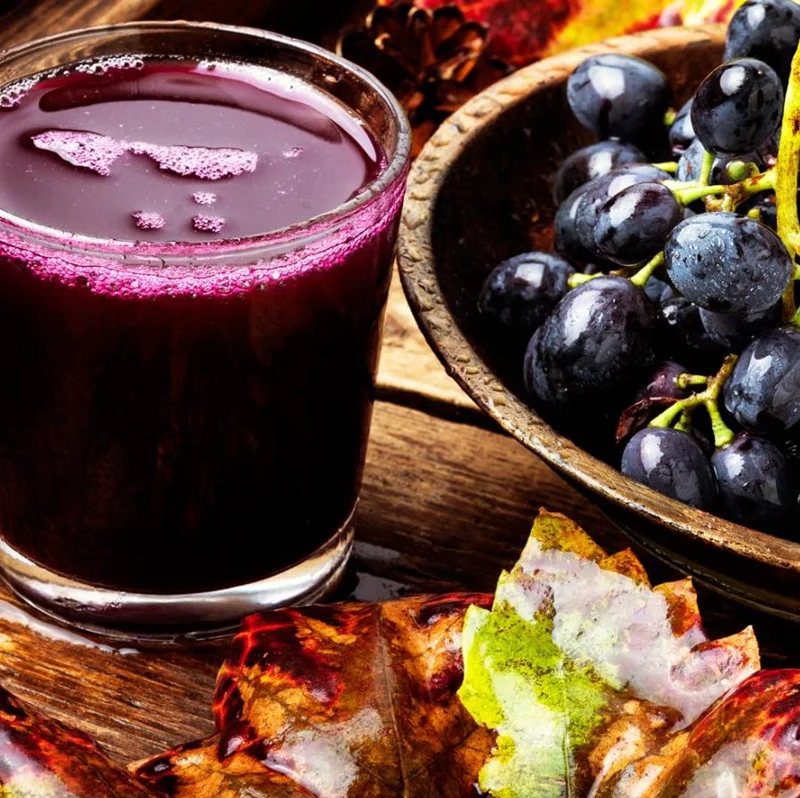 Concord Grape Live Plants – Set of 2 Hardy Grape Vines – 35 Inch Tall Concord Grape Live Plants – Set of 2 Hardy Grape Vines – 35 Inch Tall - Image 4