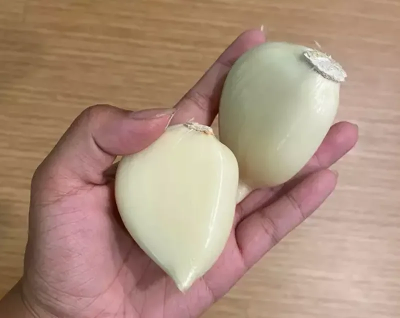 Elephant Garlic Bulbs & Seeds - Fresh Harvest, Healthy, Easy to Grow Elephant Garlic Bulbs & Seeds - Fresh Harvest, Healthy, Easy to Grow - Image 2