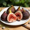 Fig Seeds – 100 Pcs – Easy to Grow Fruit Plant Seeds for Home Garden Outdoor - Image 1