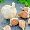 German Red Garlic Seeds - 500+ Count, Non-GMO, Healthy, Fast Growing - Image 1