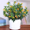 Goldfish Plant Live Trailing Houseplant – Orange Blooms – Indoor Vine - Image 1