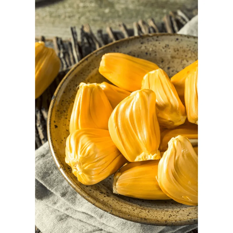 Jackfruit Live Plant – Sweet Jackfruit Tree – 6-8 Inches Tall in 4 Inch Pot for Outdoor Growing Jackfruit Live Plant – Sweet Jackfruit Tree – 6-8 Inches Tall in 4 Inch Pot for Outdoor Growing - Image 5