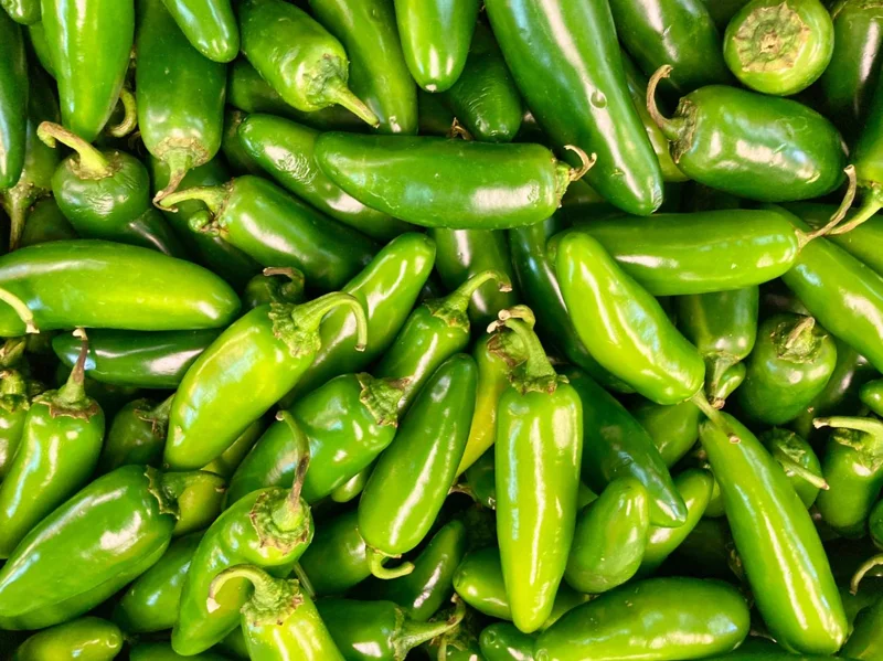 Jalapeno Live Plant - 2 Pack - Hot Pepper Plant for Outdoor Garden, 1-3 Inch Tall Jalapeno Live Plant - 2 Pack - Hot Pepper Plant for Outdoor Garden, 1-3 Inch Tall - Image 1