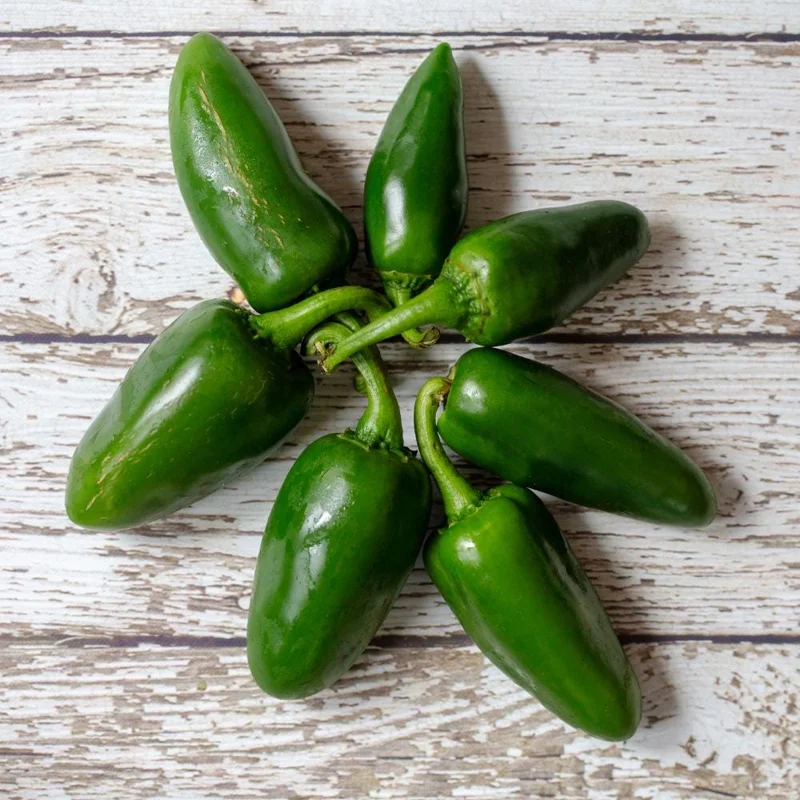 Jalapeno Pepper Live Plant – Hot Vegetable Starter – 4 Inch Pot Jalapeno Pepper Live Plant – Hot Vegetable Starter – 4 Inch Pot - Image 4