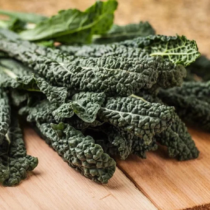 Lacinato Kale Live Plant – Blue Kale – 4 Inch Pot – Vegetable Seedling Lacinato Kale Live Plant – Blue Kale – 4 Inch Pot – Vegetable Seedling - Image 5