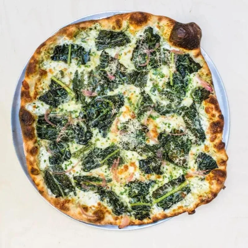 Lacinato Kale Live Plant – Blue Kale – 4 Inch Pot – Vegetable Seedling Lacinato Kale Live Plant – Blue Kale – 4 Inch Pot – Vegetable Seedling - Image 8