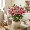Lily Flower Seeds - 100 Pcs - Pink, White, Yellow - Indoor & Outdoor Garden Decor - Image 1