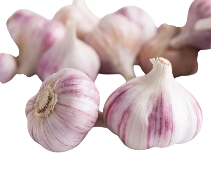 Mixed Garlic Bulbs for Planting - 0.5 Pound Hardneck Garlic Tubers Mixed Garlic Bulbs for Planting - 0.5 Pound Hardneck Garlic Tubers - Image 2