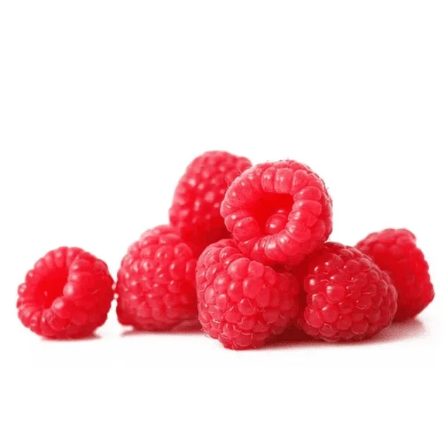 Nantahala Thornless Raspberry Live Starter Plant, Pack of 2, 4-8 Inch Tall, Everbearing Nantahala Thornless Raspberry Live Starter Plant, Pack of 2, 4-8 Inch Tall, Everbearing - Image 5