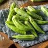 Okra Plants Live for Planting - 2 Green Okra Vegetable Trees, 3-5 Inch Tall Okra Plants Live for Planting - 2 Green Okra Vegetable Trees, 3-5 Inch Tall - Image 1