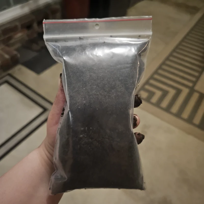 Organic Worm Castings - Natural Plant Nutrient & Soil Enhancer - 1 Pound Bag Organic Worm Castings - Natural Plant Nutrient & Soil Enhancer - 1 Pound Bag - Image 2