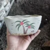 Palm Tree Ceramic Succulent Planter Pot with Drainage Hole - Indoor Decor - Image 1