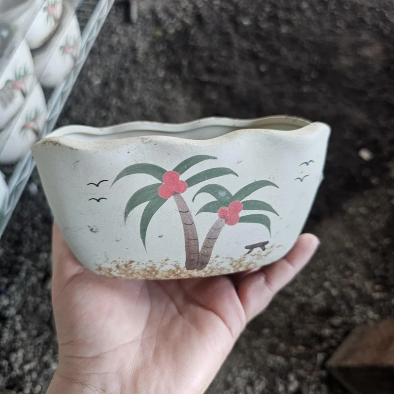 Palm Tree Ceramic Succulent Planter Pot with Drainage Hole - Indoor Decor - Image 1