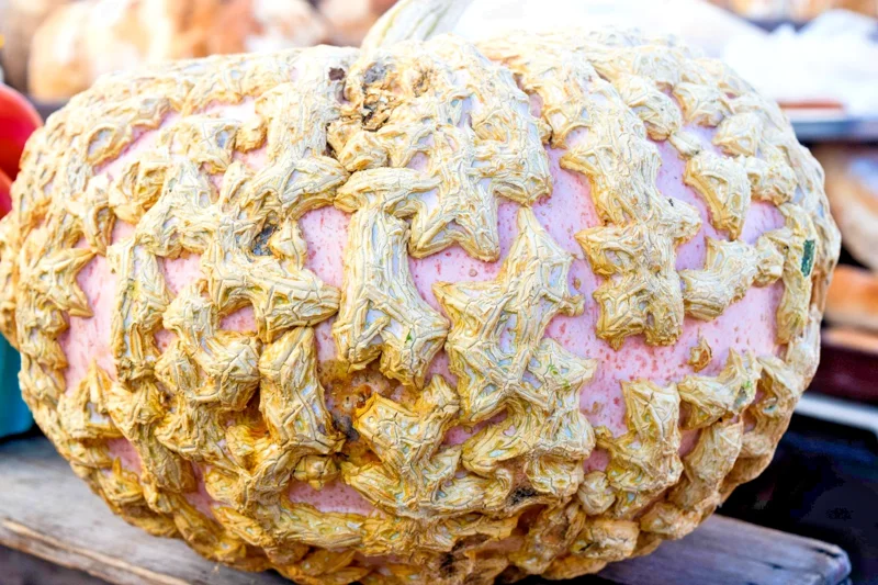 Peanut Pumpkin Galeux D'Eysines French Winter Squash Seeds - 15 Seed Pack - Image 2