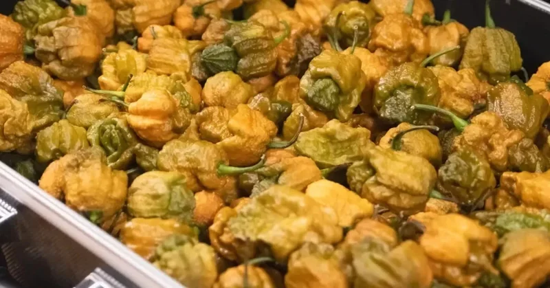 Pepper X Seeds - 25+ Extremely Spicy Pepper Seeds for Garden Planting Pepper X Seeds - 25+ Extremely Spicy Pepper Seeds for Garden Planting - Image 3