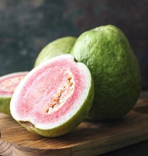 Pink Guava Live Fruit Tree - 5-8 inch Exotic Tropical Plant for Home Garden Pink Guava Live Fruit Tree - 5-8 inch Exotic Tropical Plant for Home Garden - Image 11