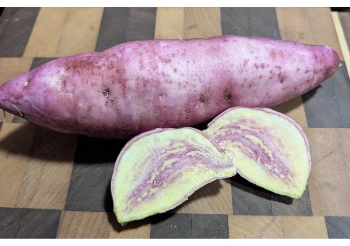 Pink Korea Sweet Potato Slips - 10 Live Cuttings for Planting Outdoor Pink Korea Sweet Potato Slips - 10 Live Cuttings for Planting Outdoor - Image 7