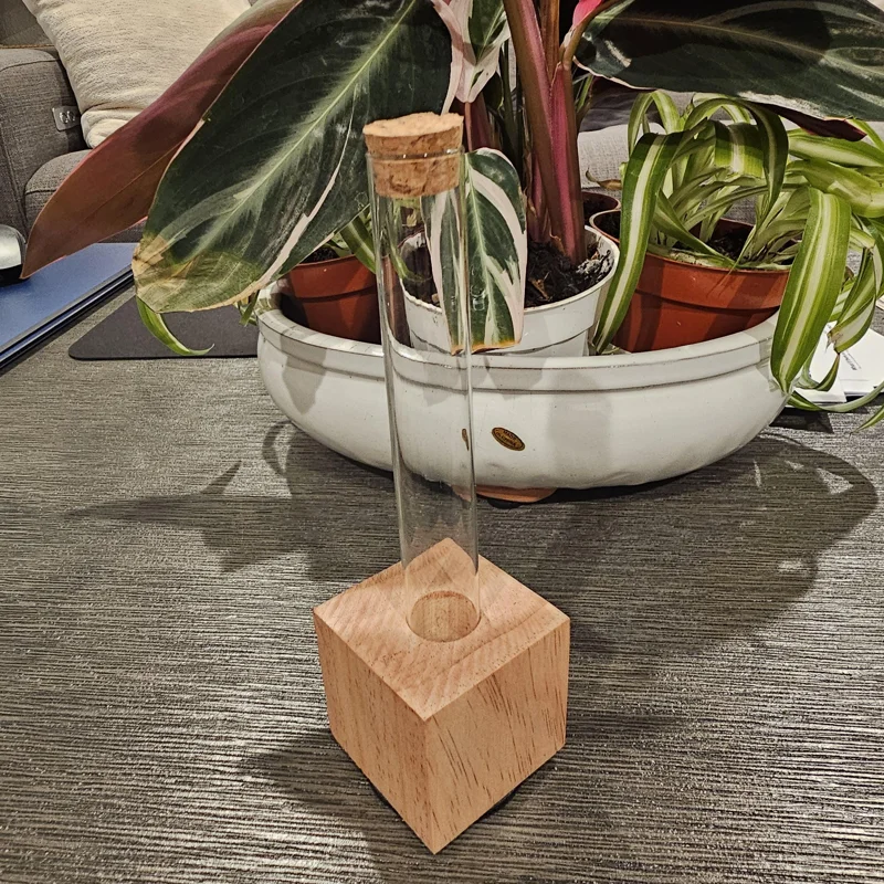 Plant Propagation Station – Glass & Wood Hydroponic Vase for Cuttings - Image 2